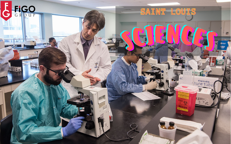 Tại sao sinh viên nên học Khối Khoa học ở đại học Saint Louis